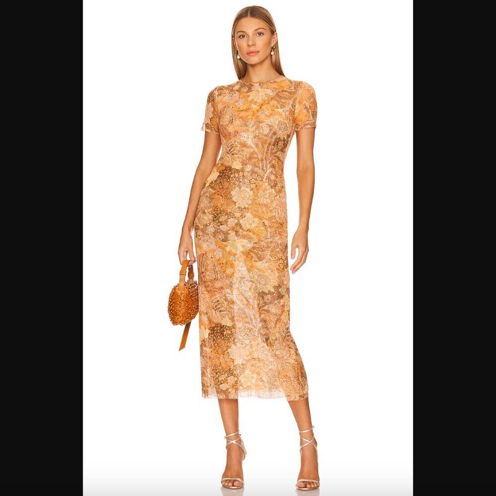 Misa Los Angeles Vanessa Golden Batic Floral Mesh Maxi Dress S